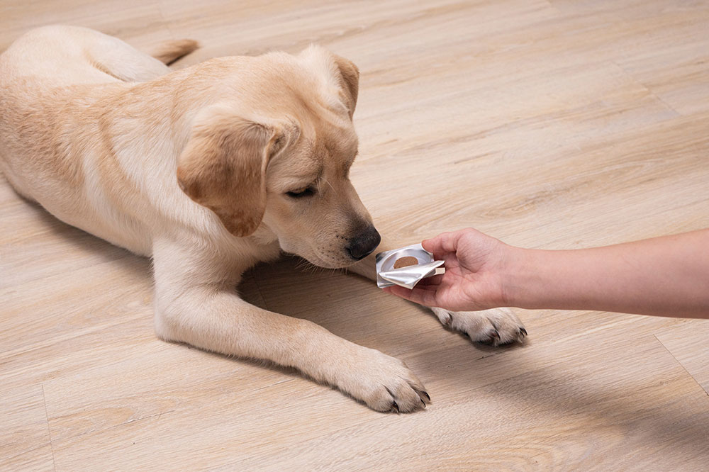 4 effective flea tablets for dogs