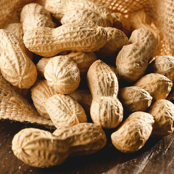 5 common food allergy triggers