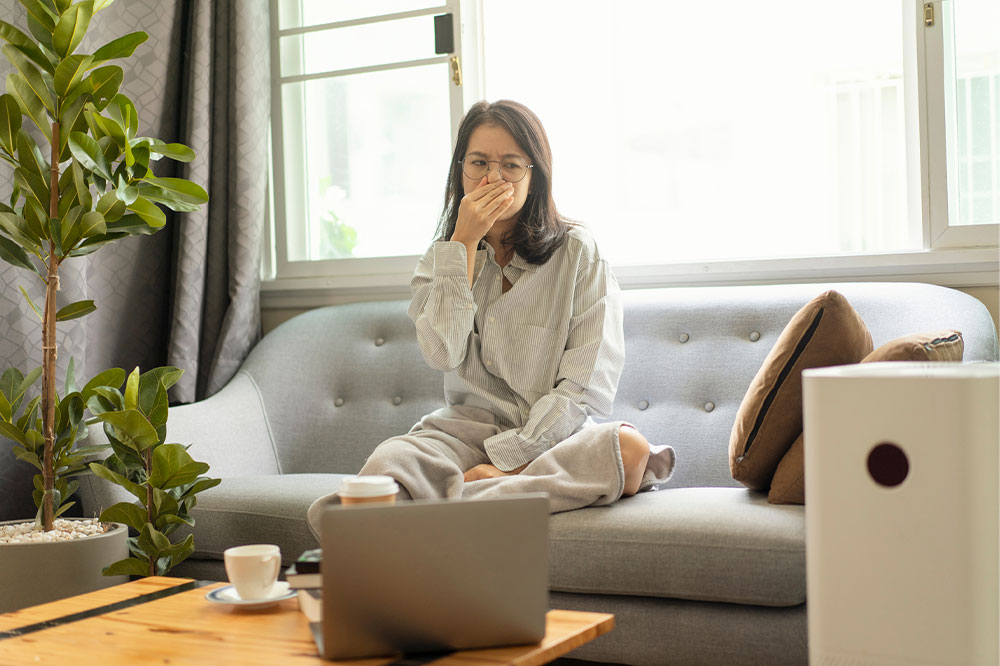 11 ways to improve air quality indoors